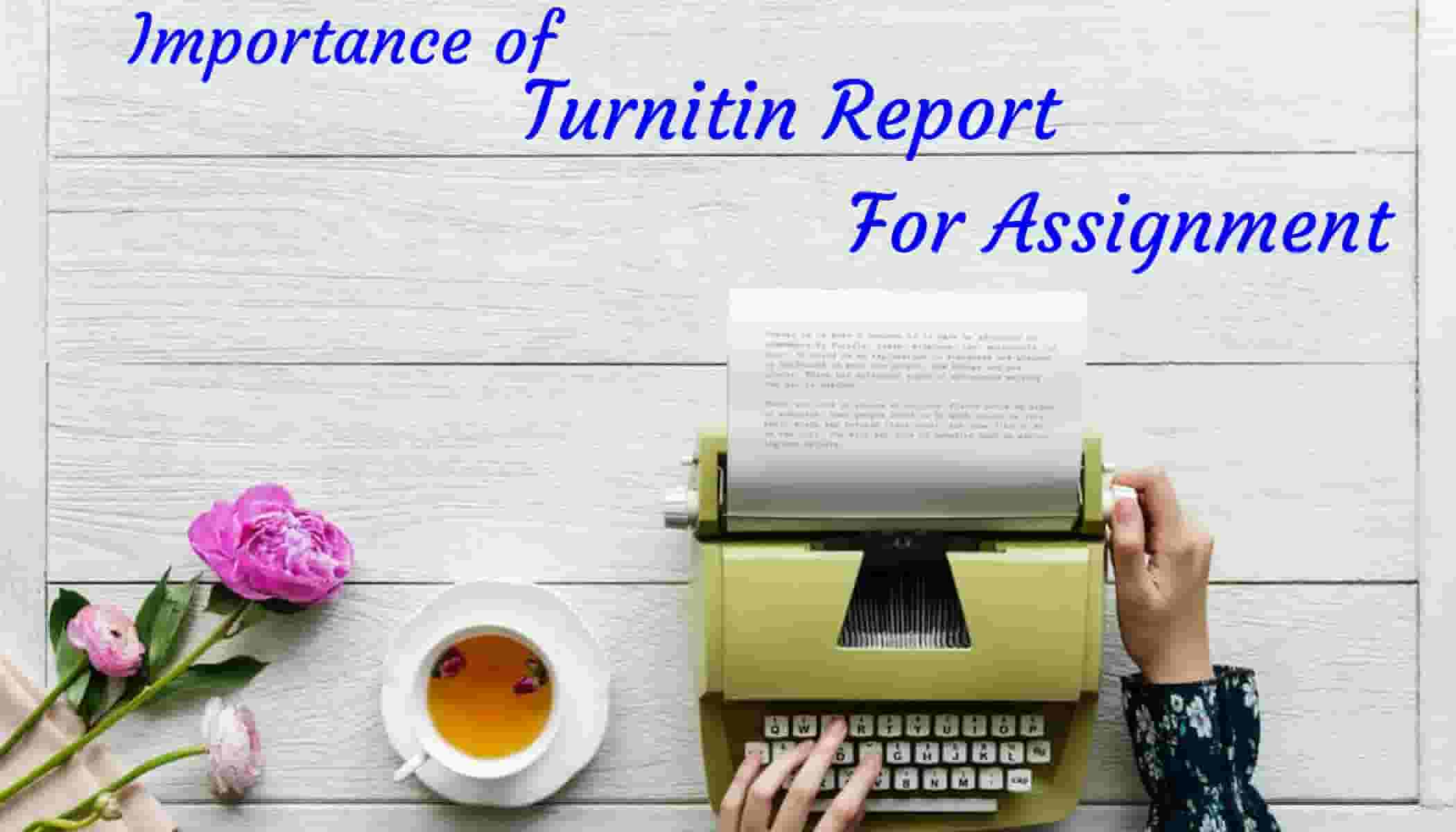 Importance of turnitin report